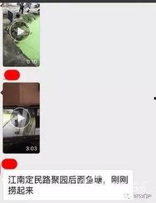 梅州最新爆料事件视频播放,视频揭露惊人真相,网友热议不断! 第3张 梅州最新爆料事件视频播放,视频揭露惊人真相,网友热议不断! 第3张