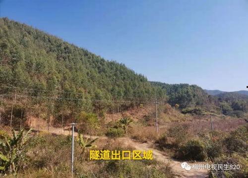 梅州民生820最新爆料,揭秘背后惊人真相! 第2张 梅州民生820最新爆料,揭秘背后惊人真相! 第2张